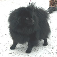 Tempore Still Waters